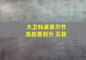 大卫科波菲尔节选段落划分 五段